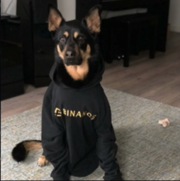 0x5043f271095350c5ac7db2384a0d9337e27c1055