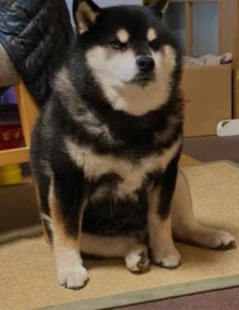 0xd743d3c50ebd82f9173b599383979d10f3494444