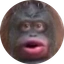 0xfce692762e907e80a061c01631d15ba7328eaaaa